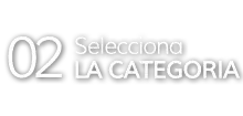 02.Selecciona la categoria